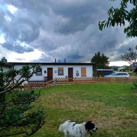 メーデバッハ Haus Panoramablickヴィラ エクステリア 写真